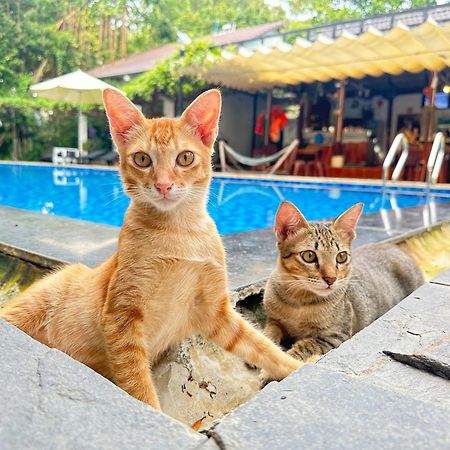 Villa Have Fun Phu Quoc Extérieur photo