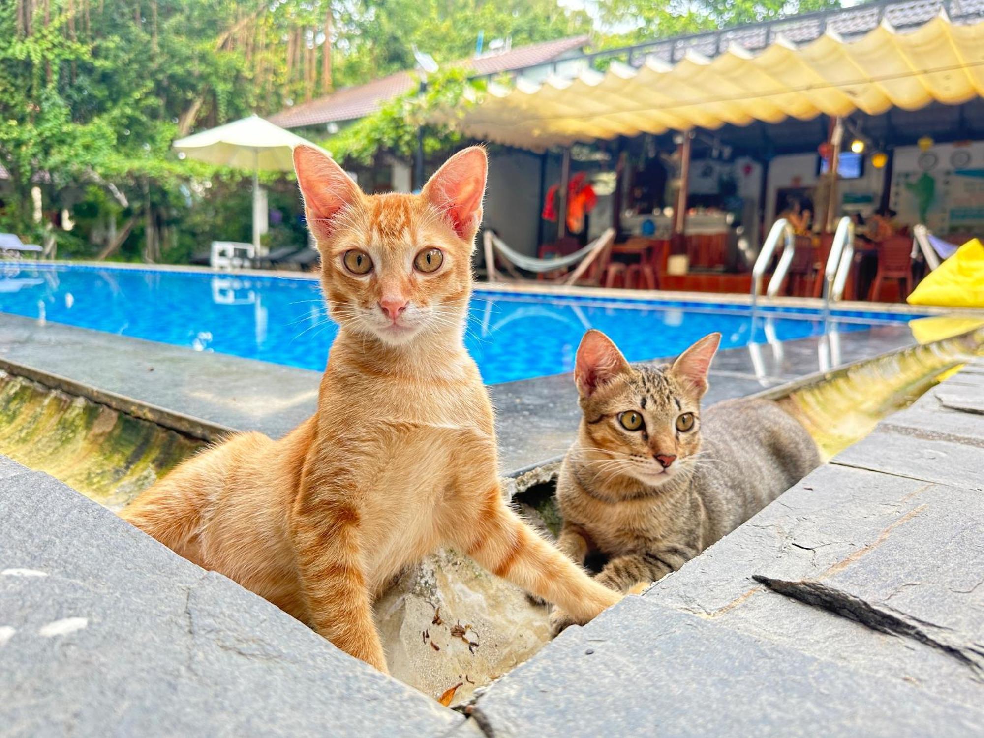 Villa Have Fun Phu Quoc Extérieur photo